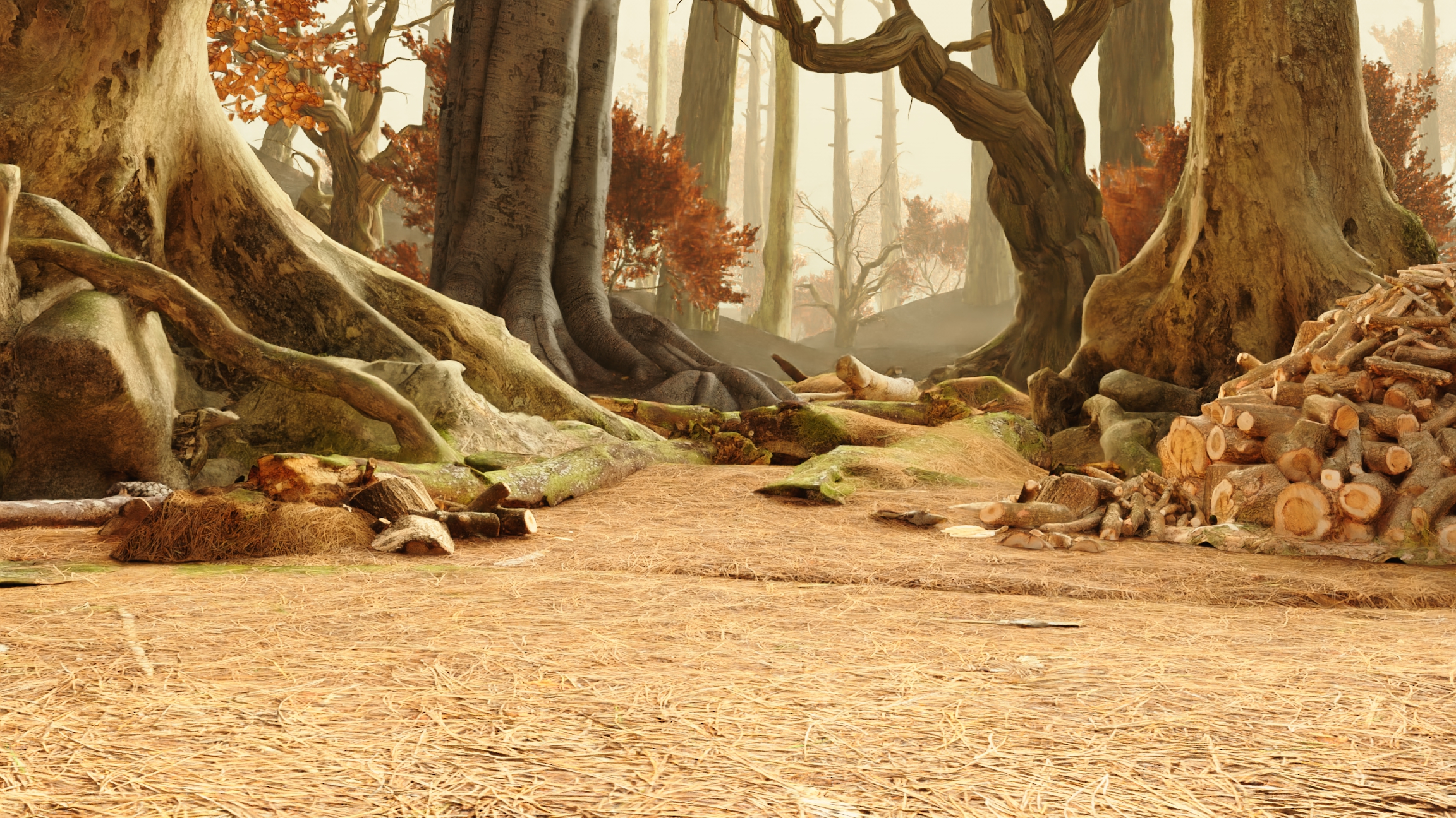 a0240_forest_layout_2_new