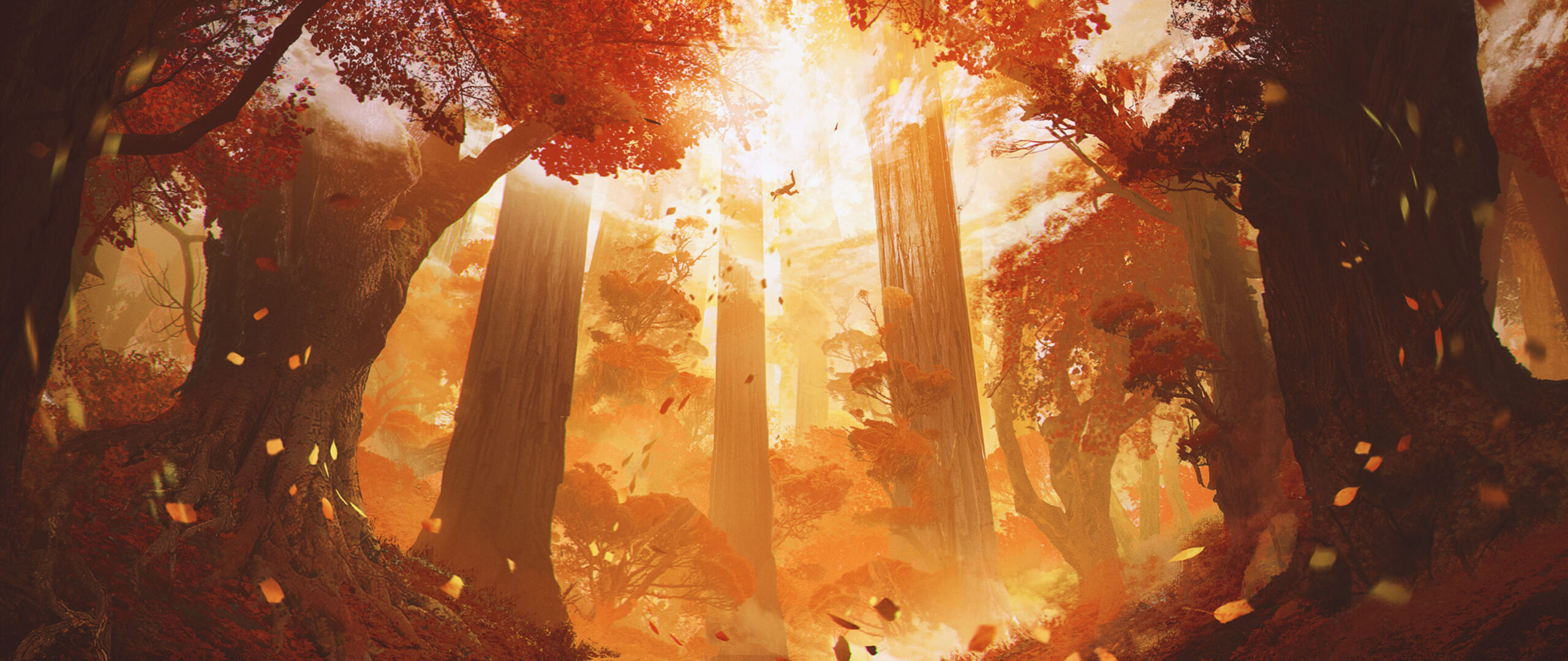 concept_006