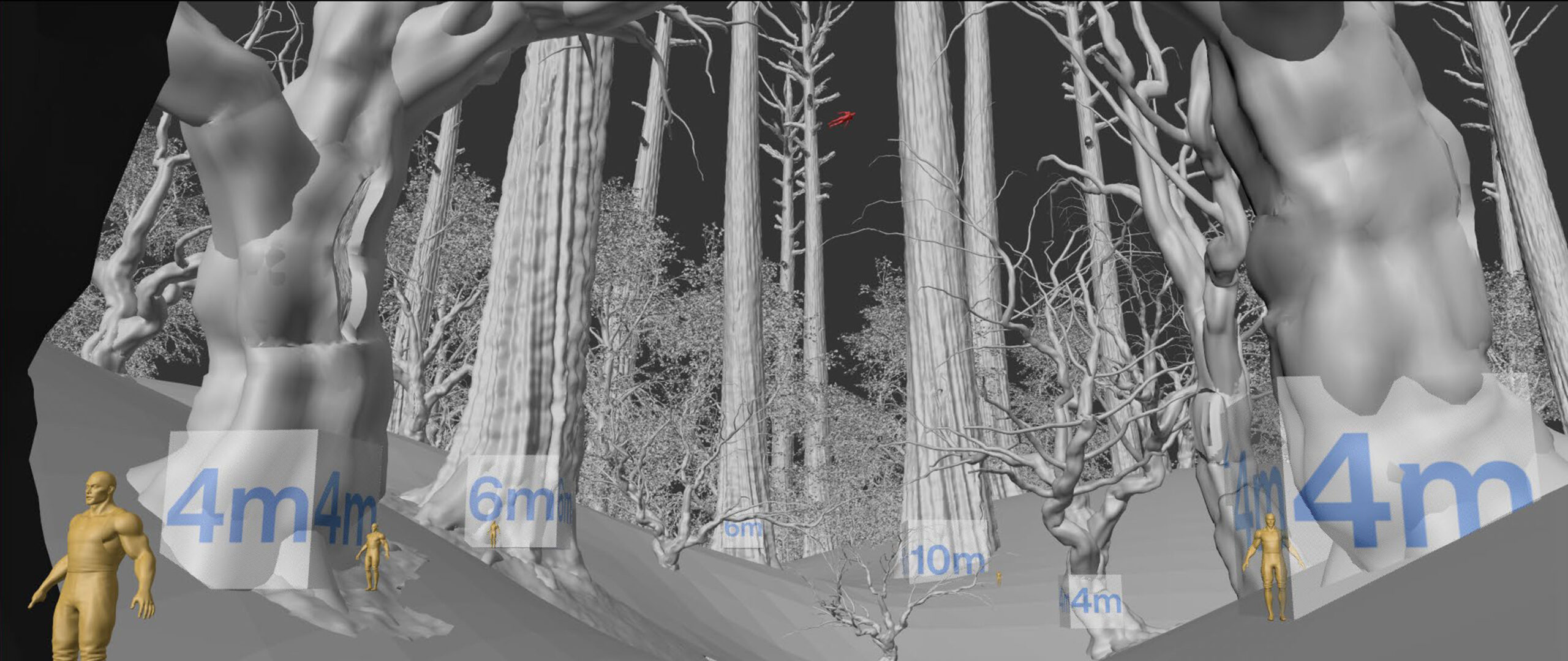 forest_scale_001