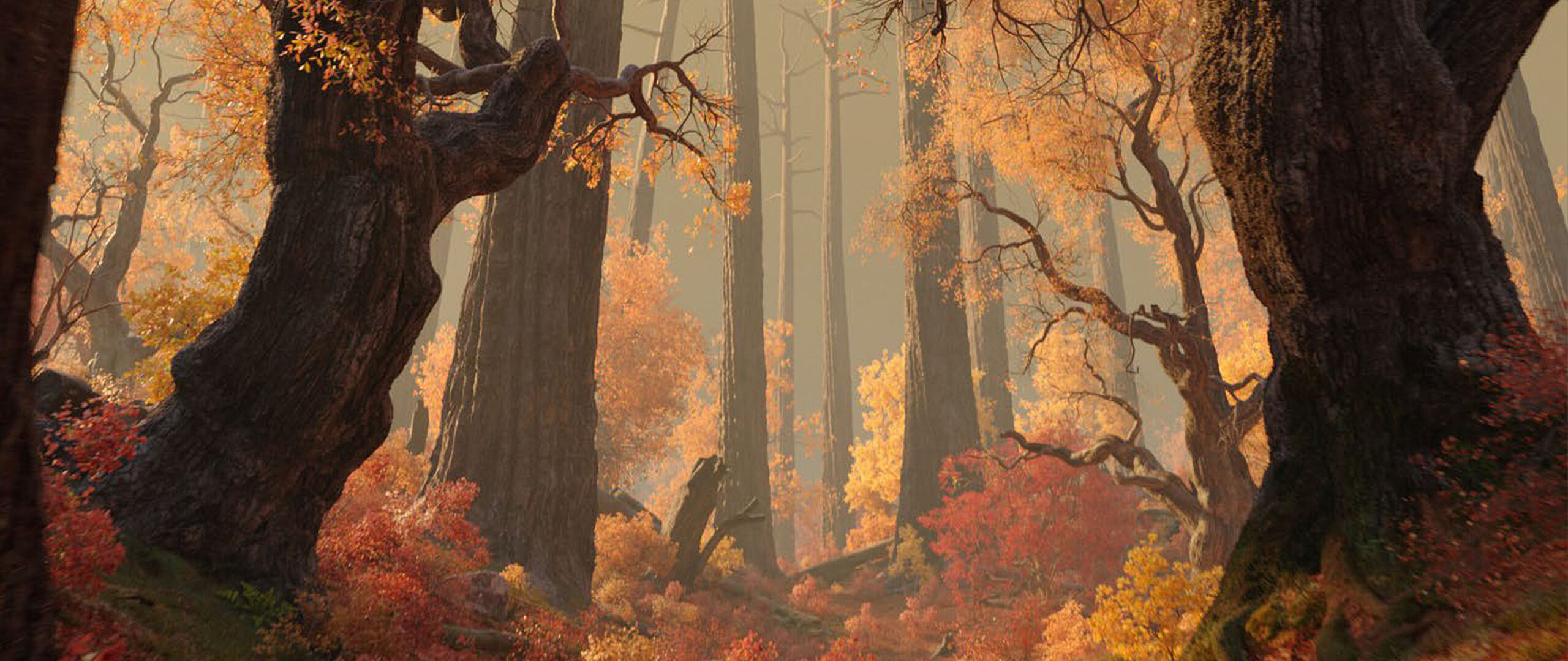 forest_scale_002