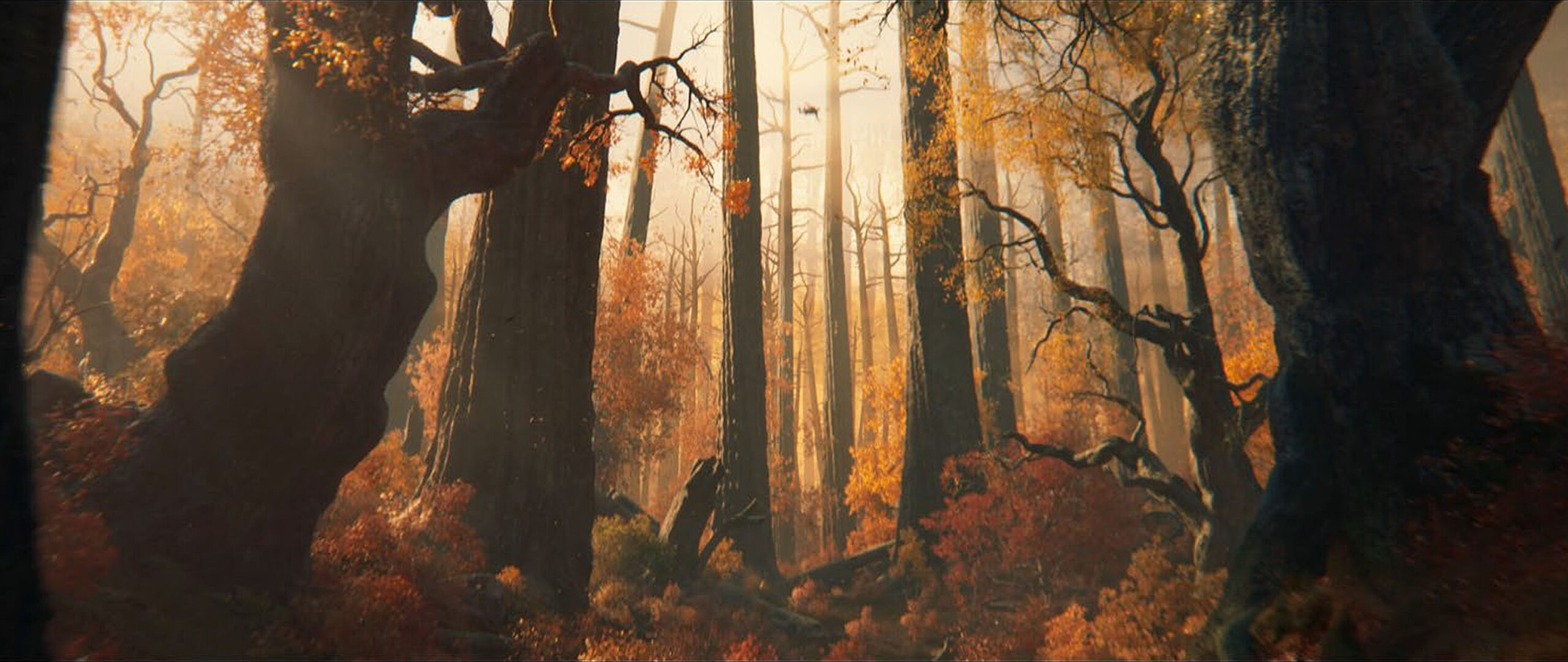 forest_scale_003