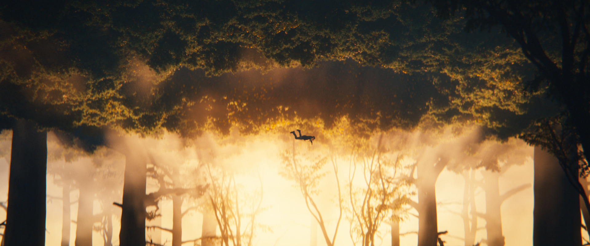 grimbergen_dc_210921r1_45sec_dir_cut_Online_Compositing_v024 (1-00-20-07)