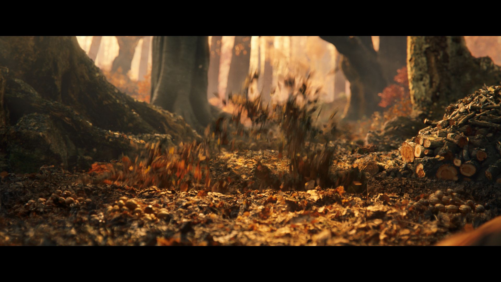 grimbergen_dc_210921r1_45sec_dir_cut_Online_Compositing_v024.mov_snapshot_00.25.632