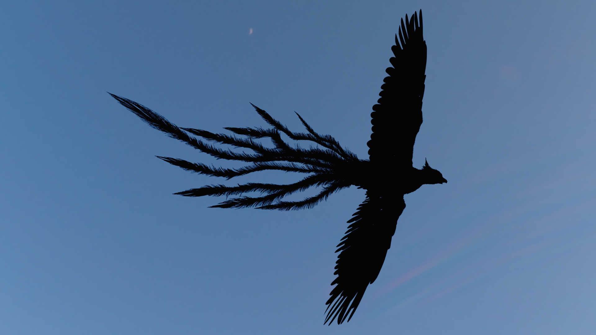phoenix_tail_silhouette_07
