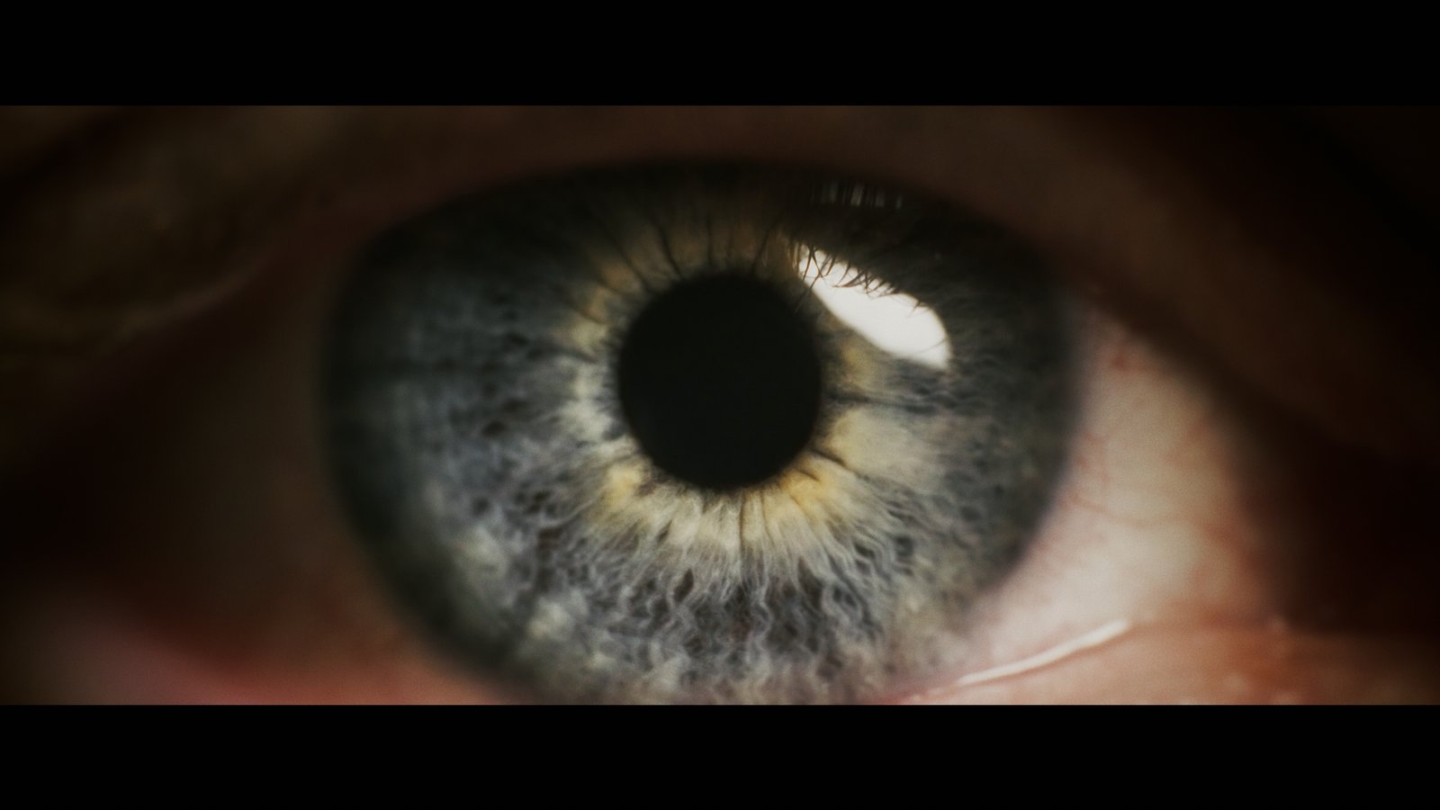 ATNxD5_Edit_1920x1080_enh_260827_v001.mov_snapshot_00.47.697